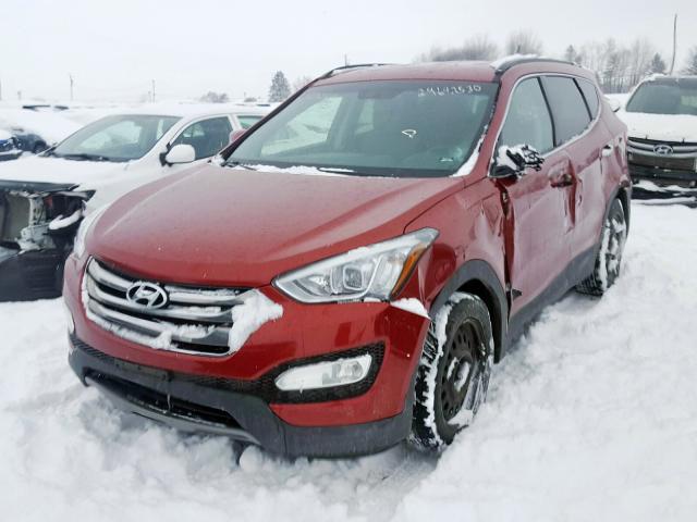 5XYZT3LB4EG214309 - 2014 HYUNDAI SANTA FE SPORT  photo 2