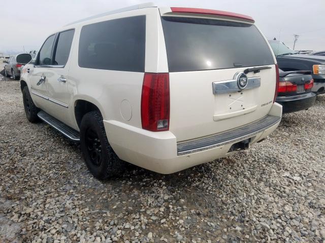 1GYFK66857R402827 - 2007 CADILLAC ESCALADE ESV  photo 3