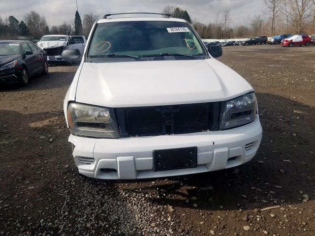 1GNDT13S542396813 - 2004 CHEVROLET TRAILBLAZER LS  photo 9