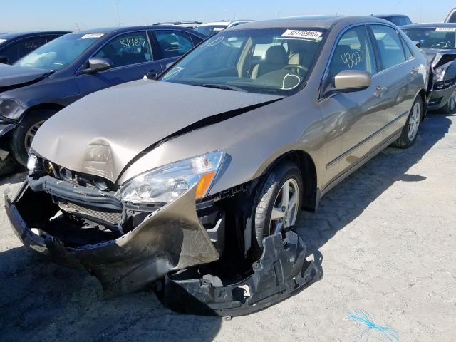 JHMCM56894C035229 - 2004 HONDA ACCORD EX  photo 2