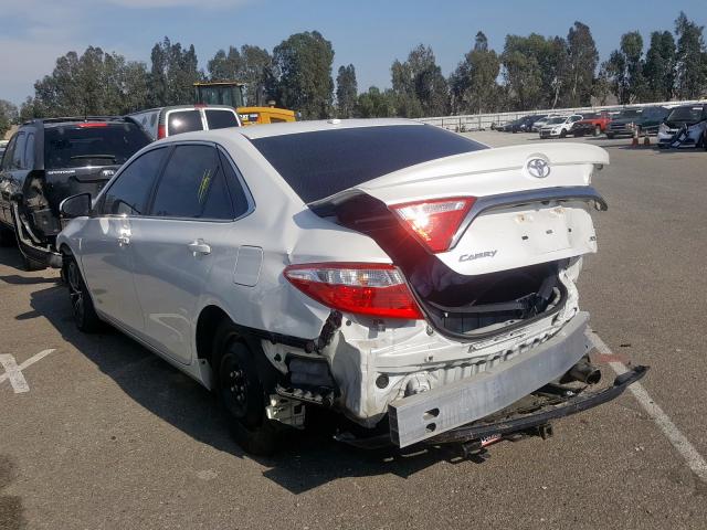 4T1BF1FK5HU339536 - 2017 TOYOTA CAMRY LE  photo 3