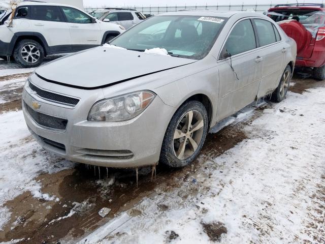 1G1ZC5E15BF257323 - 2011 CHEVROLET MALIBU 1LT  照片 2