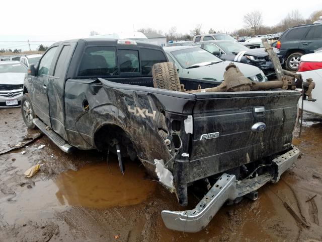 1FTFX1EF4DFD79533 - 2013 FORD F150 SUPER CAB  photo 3