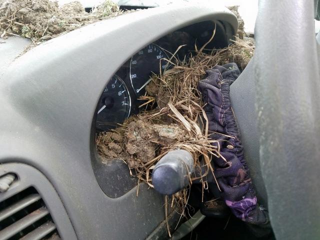 1G1ZS51F26F192733 - 2006 CHEVROLET MALIBU LS  照片 8