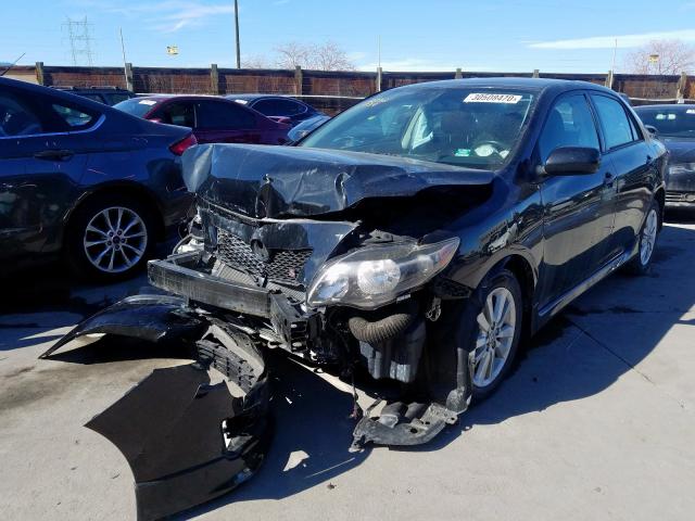 2T1BU4EE1AC503777 - 2010 TOYOTA COROLLA BASE  photo 2