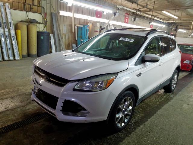 1FMCU0HX5DUA13517 - 2013 FORD ESCAPE SEL  photo 2