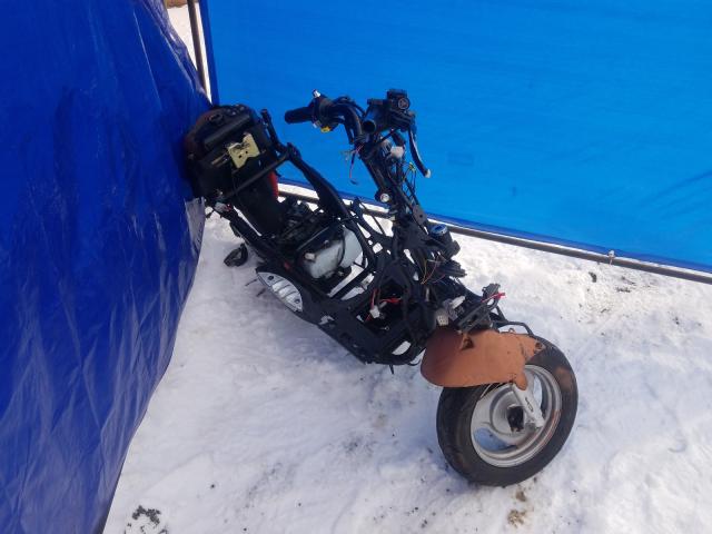 undefined - 2000 GENUINE SCOOTER CO. BUDDY 50  photo 1