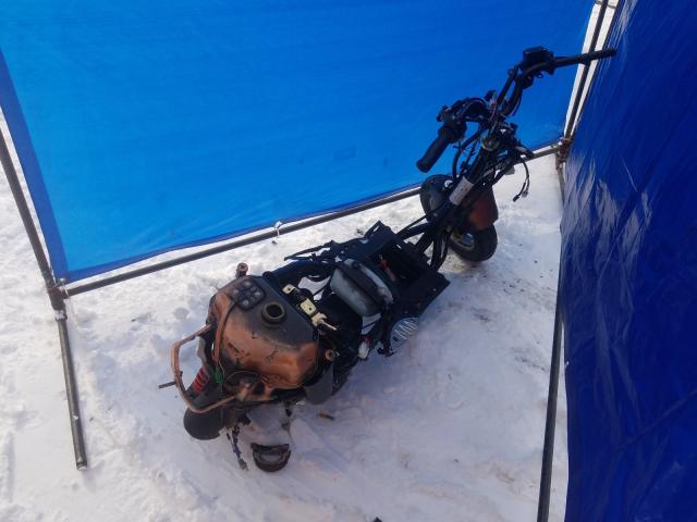 undefined - 2000 GENUINE SCOOTER CO. BUDDY 50  photo 4