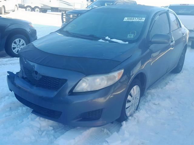 1NXBU4EE7AZ259048 - 2010 TOYOTA COROLLA BASE  photo 2
