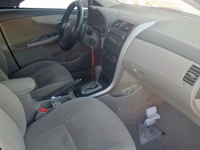 1NXBU4EE7AZ259048 - 2010 TOYOTA COROLLA BASE  photo 5