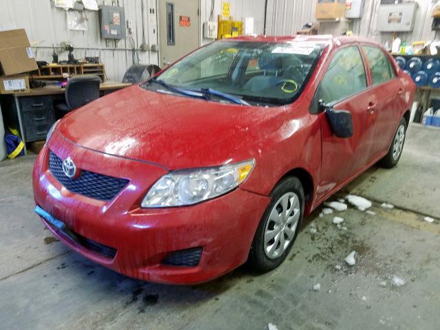 1NXBU4EE0AZ222388 - 2010 TOYOTA COROLLA BASE  photo 2