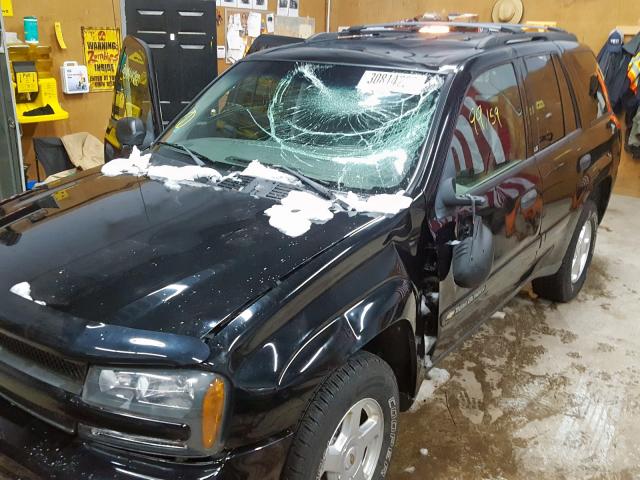 1GNDT13S222323699 - 2002 CHEVROLET TRAILBLAZER  photo 9