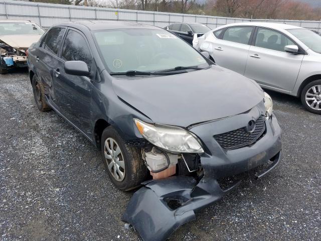 2T1BU40E29C122782 - 2009 TOYOTA COROLLA BASE  photo 1