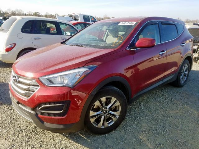 5XYZT3LB1GG334104 - 2016 HYUNDAI SANTA FE SPORT  photo 2