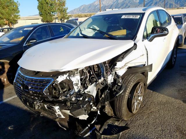 JTJAARBZ0L5004992 - 2020 LEXUS NX 300 BASE  ფოტო 2