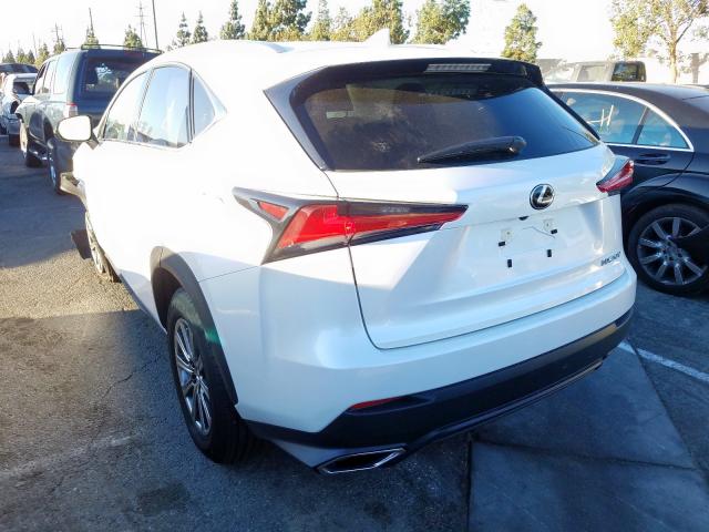 JTJAARBZ0L5004992 - 2020 LEXUS NX 300 BASE  ფოტო 3