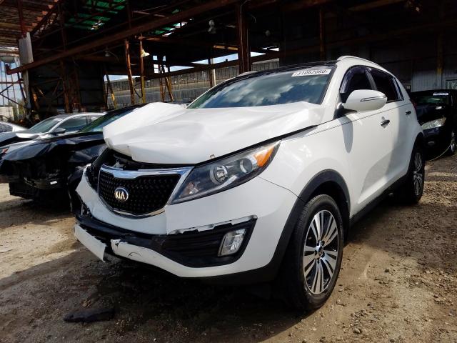 KNDPC3AC8F7771273 - 2015 KIA SPORTAGE EX  photo 2