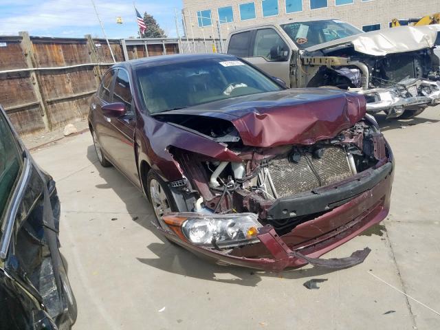 5KBCP3F82AB017331 - 2010 HONDA ACCORD EXL  photo 1