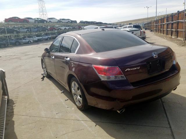 5KBCP3F82AB017331 - 2010 HONDA ACCORD EXL  photo 3