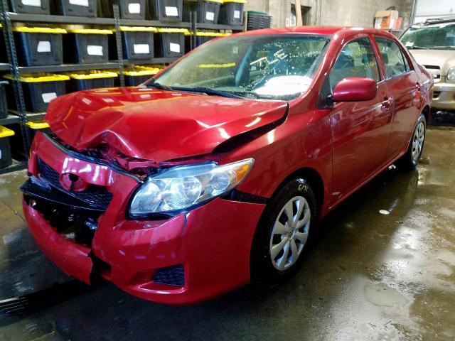 1NXBU4EE5AZ339044 - 2010 TOYOTA COROLLA BASE  photo 2