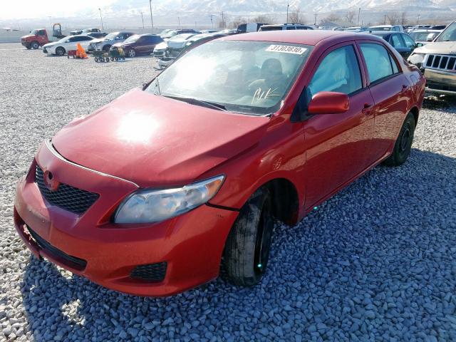 1NXBU4EE0AZ188694 - 2010 TOYOTA COROLLA BASE  photo 2