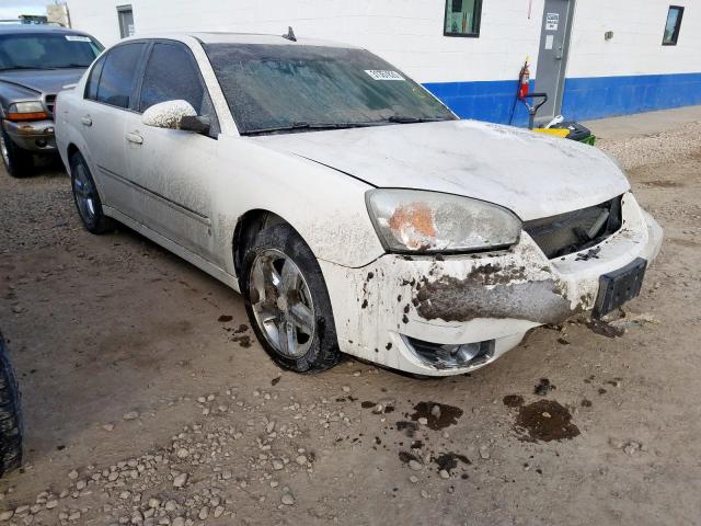 1G1ZU53846F301010 - 2006 CHEVROLET MALIBU LTZ  ფოტო 1