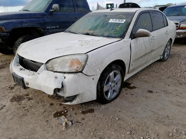 1G1ZU53846F301010 - 2006 CHEVROLET MALIBU LTZ  ფოტო 2