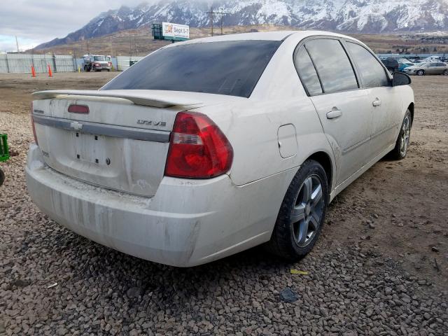 1G1ZU53846F301010 - 2006 CHEVROLET MALIBU LTZ  ფოტო 4