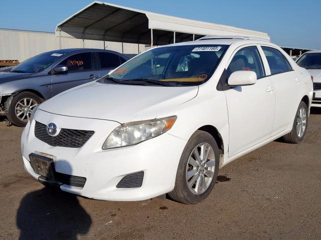 2T1BU4EE6AC410690 - 2010 TOYOTA COROLLA BASE  foto 2
