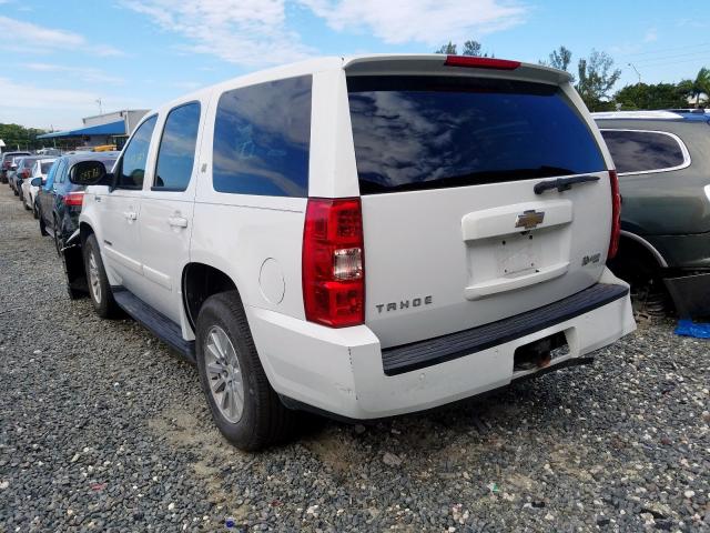 1GNFC13589R104086 - 2009 CHEVROLET TAHOE HYBRID  photo 3