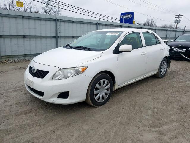 2T1BU4EEXAC261913 - 2010 TOYOTA COROLLA BASE  foto 2