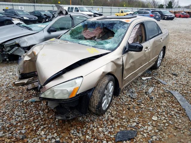 1HGCM66547A082635 - 2007 HONDA ACCORD EX  photo 2