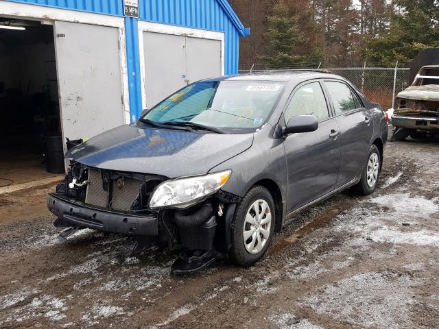 2T1BU4EE7AC207842 - 2010 TOYOTA COROLLA BASE  photo 2