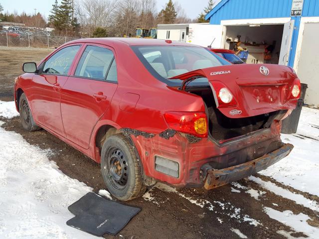 2T1BU4EE2AC318301 - 2010 TOYOTA COROLLA BASE  photo 3