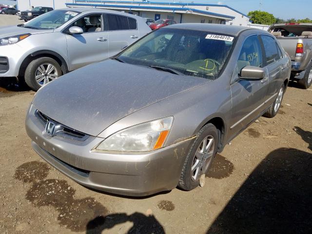 JHMCM56313C018587 - 2003 HONDA ACCORD LX  photo 2