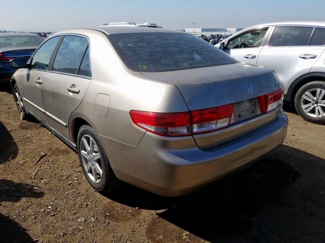 JHMCM56313C018587 - 2003 HONDA ACCORD LX  photo 3