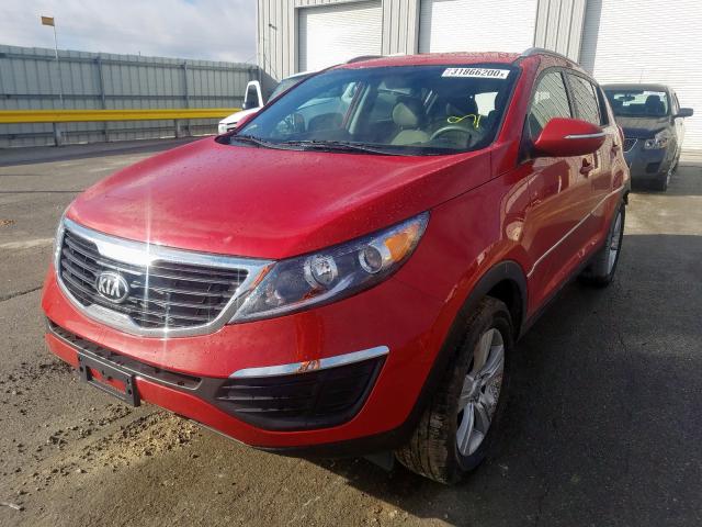 KNDPB3A24D7496895 - 2013 KIA SPORTAGE BASE  photo 2