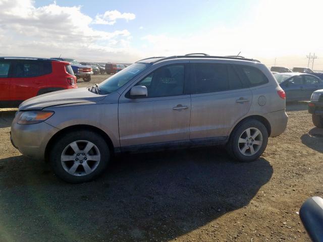 5NMSH73E17H020821 - 2007 HYUNDAI SANTA FE SE  photo 9