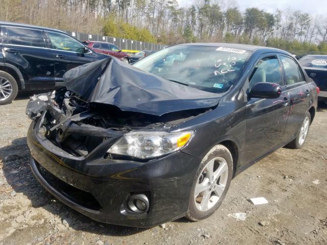 5YFBU4EE7DP117692 - 2013 TOYOTA COROLLA BASE  photo 2