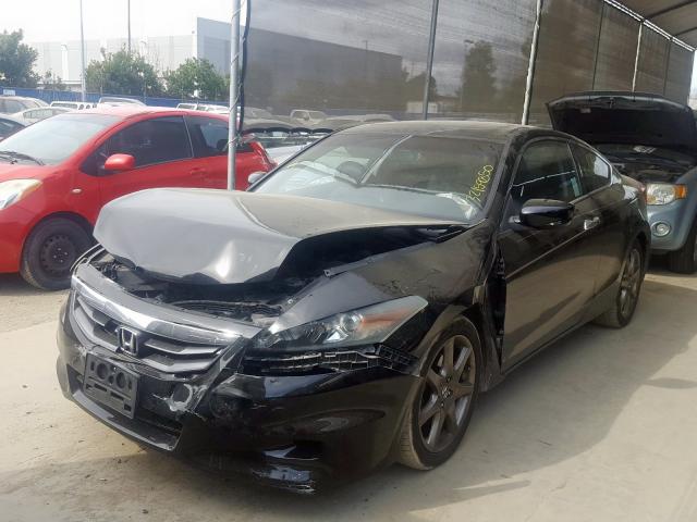 1HGCS2B83BA001146 - 2011 HONDA ACCORD EXL  photo 2