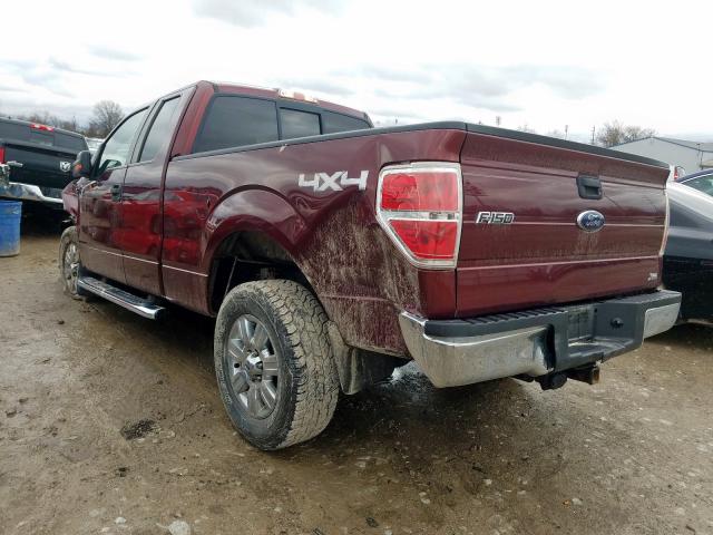 1FTFX1EV9AFD85735 - 2010 FORD F150 SUPER CAB  photo 3