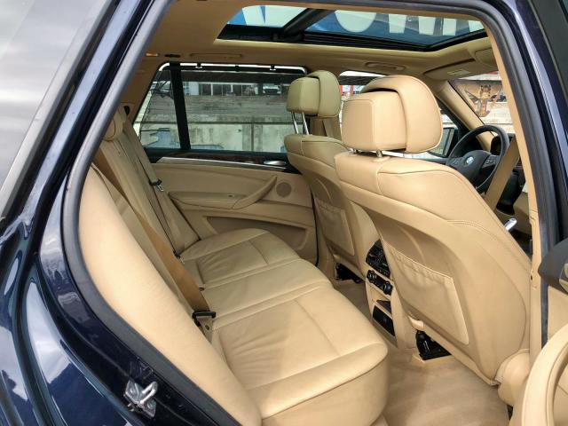 5UXFF0C51ALJ99445 - 2010 BMW X5 XDRIVE35D  photo 6
