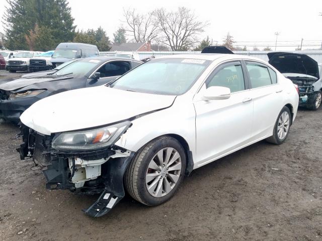 1HGCR2F73DA182572 - 2013 HONDA ACCORD EX  photo 2