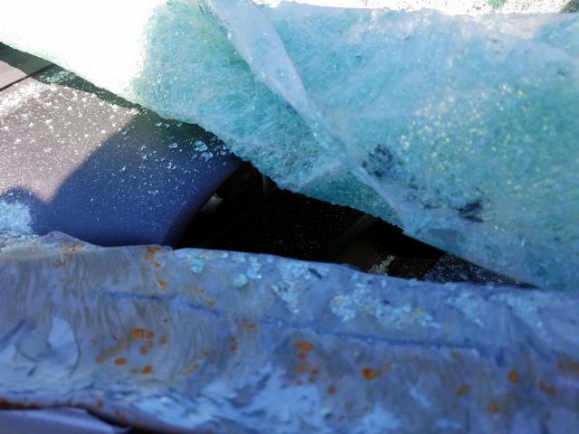 2HGFG12928H561588 - 2008 HONDA CIVIC EXL  照片 8