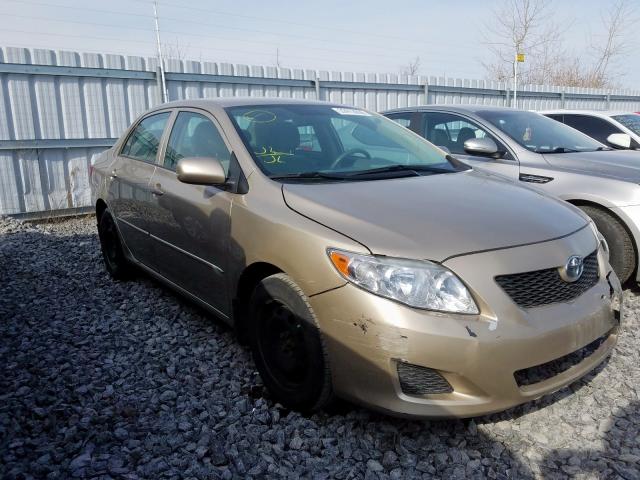 2T1BU40E79C153882 - 2009 TOYOTA COROLLA BASE  photo 1