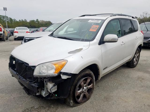 2T3YK4DV4AW004074 - 2010 TOYOTA RAV4 LIMITED  photo 2