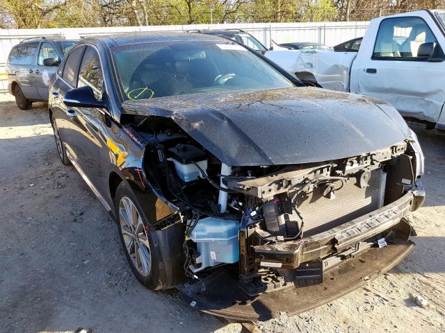 5NPE34AF4GH292207 - 2016 HYUNDAI SONATA SPORT  Foto 1