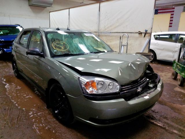 1G1ZT64805F226750 - 2005 CHEVROLET MALIBU MAXX LS  photo 1