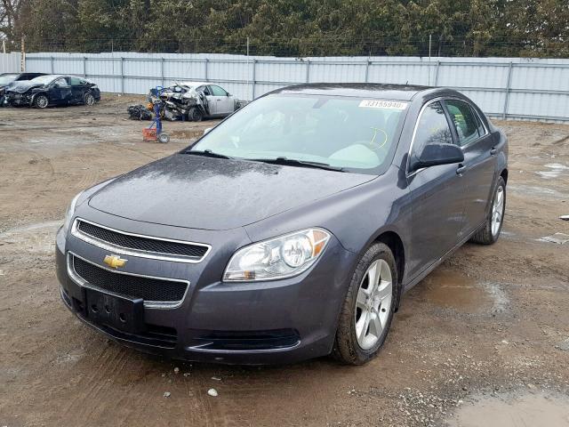 1G1ZB5E09AF241117 - 2010 CHEVROLET MALIBU LS  photo 2