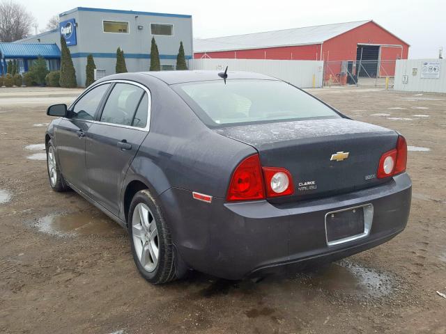 1G1ZB5E09AF241117 - 2010 CHEVROLET MALIBU LS  photo 3